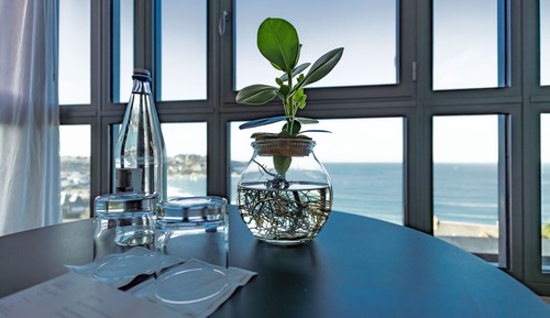 Deluxe Room, Terrace, Sea View (Désirade)