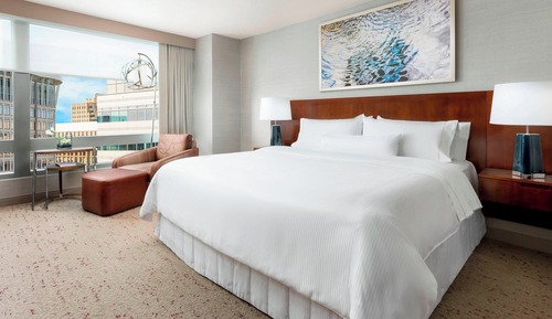 Room, 1 King Bed, City View (Mobility Accessible, Roll-In Shower)