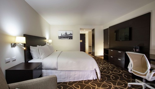 Room, 1 King Bed