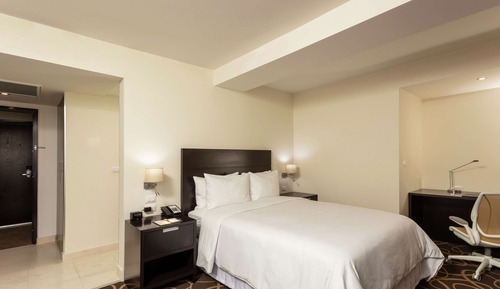Room, 1 Queen Bed