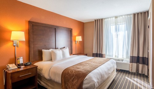 Suite, 1 King Bed with Sofa bed, Non Smoking