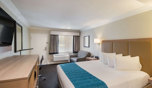 Standard Room, 1 King Bed, Non Smoking, Refrigerator & Microwave