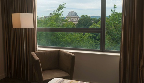 Superior Room, 1 King Bed (Tree Line View)