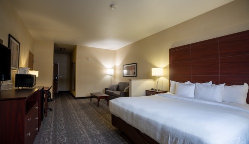 Room, 1 King Bed, Non Smoking