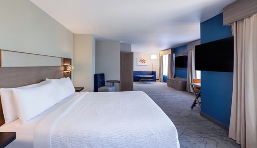 Suite, 1 King Bed with Sofa bed