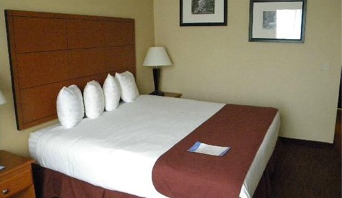 Standard Room, 1 King Bed, Accessible