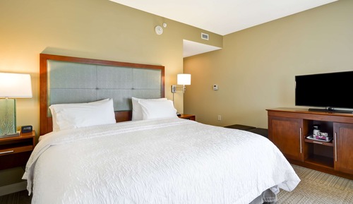 Room, 1 King Bed, Non Smoking, Refrigerator