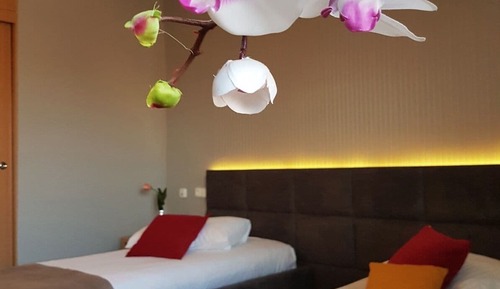 Classic Double or Twin Room