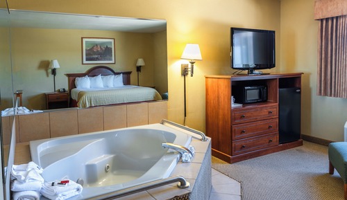 1 king Mini Suite no smoking no pets allowed