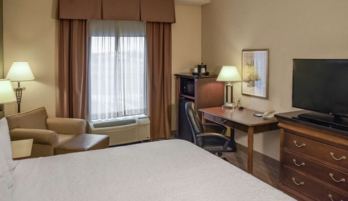 Standard 1 King Bed