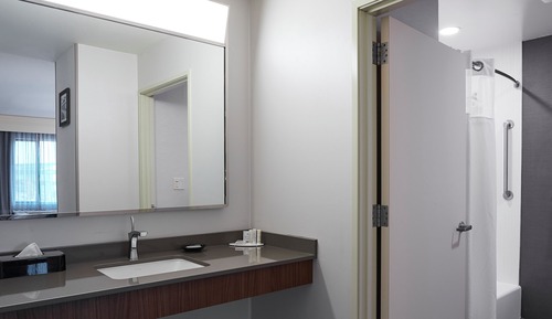Room, 1 King Bed with Sofa bed, Non Smoking (Mobility/Hearing Accessible, Tub)