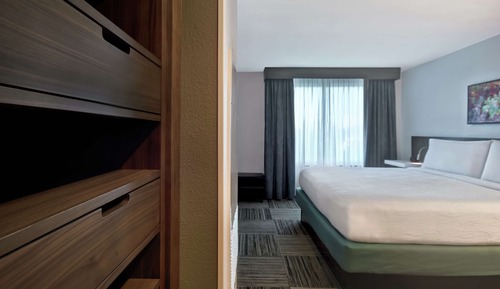 Suite, 1 King Bed, Accessible (Roll-In Shower)