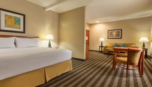 Standard Room, 1 King Bed with Sofa bed