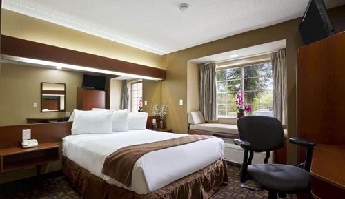 Deluxe Studio Suite, 1 Queen Bed, Non Smoking