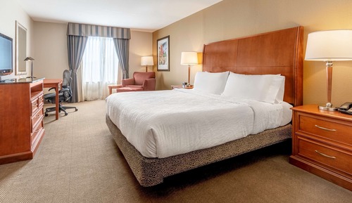 Room, 1 King Bed, Accessible
