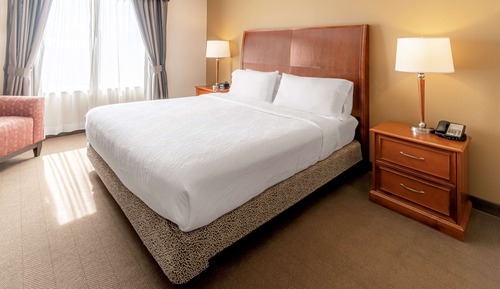 Suite, 1 King Bed