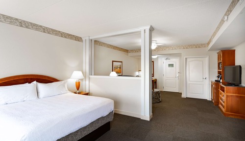 Suite, 1 King Bed, Accessible