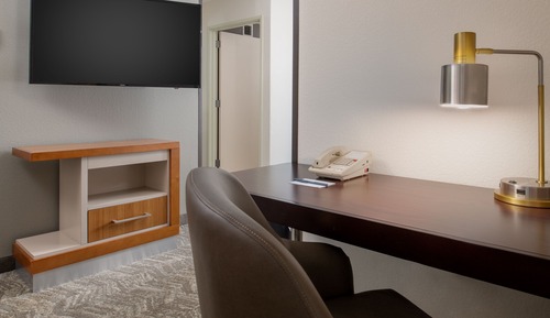 Studio, 1 King Bed with Sofa bed