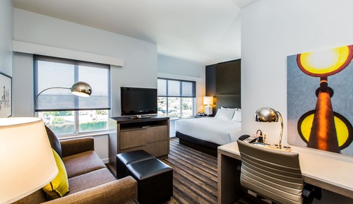 1 Bedroom, King with Sofa Bed
