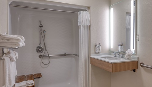 Suite, 1 Bedroom, Accessible, Kitchen (Roll-In Shower)
