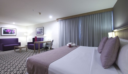 Premium Room