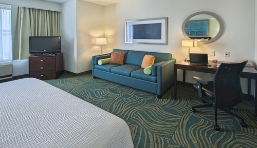 Suite, 1 King Bed with Sofa bed