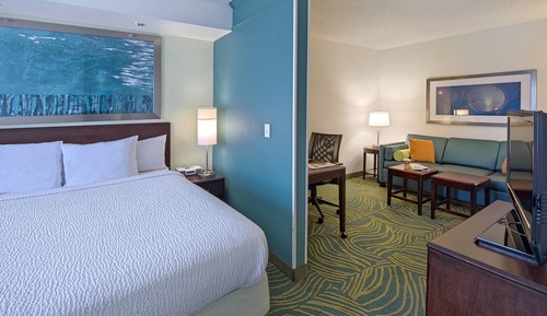 Suite, 1 King Bed with Sofa bed (Mobility/Hearing Accessible, Tub)
