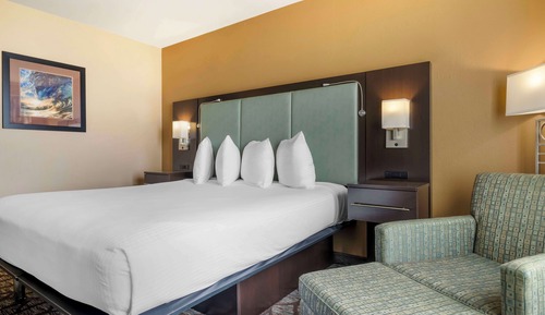Standard Room, 1 King Bed, Accessible, Refrigerator & Microwave