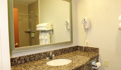 Suite, 1 Bedroom