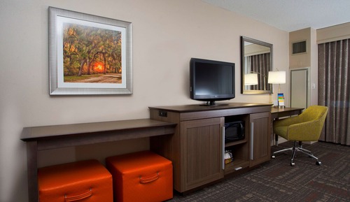 Room, 1 King Bed, Accessible, Non Smoking