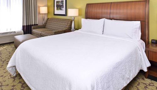 Room, 1 King Bed with Sofa bed