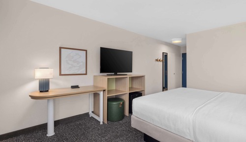 Room, 1 King Bed, Accessible, Bathtub (Mobility)