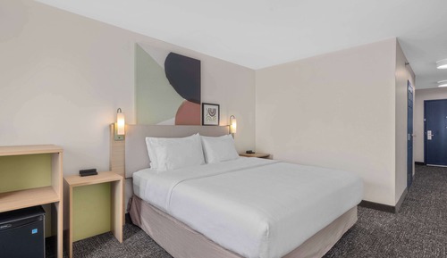 Room, 1 King Bed, Accessible, Bathtub (Mobility, Hearing, Roll-In Shower)