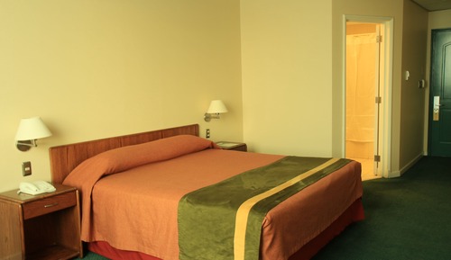 Double Room, 1 Double Bed