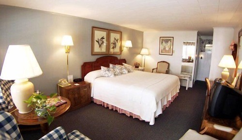 Family Suite, Multiple Beds