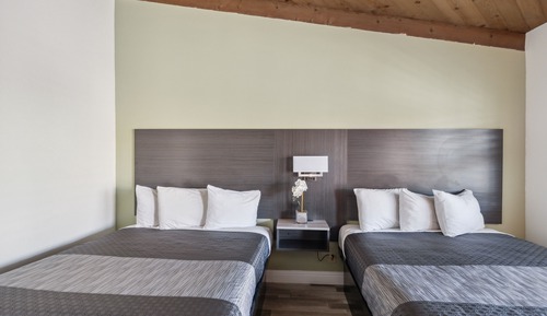 Standard Room, 2 Queen Beds