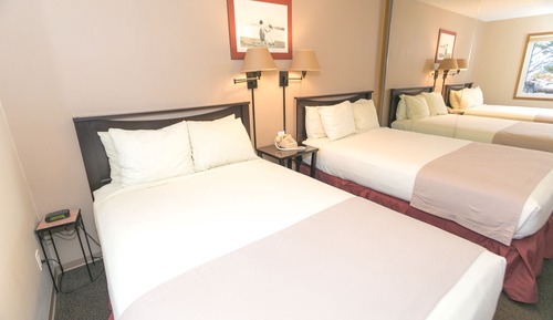 Signature Room, Multiple Beds, Kitchen, Pool View (1 Bedroom Unit- Room 107-No Pets)