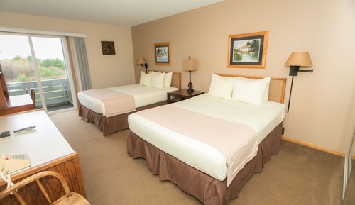 Deluxe Room, Multiple Beds, Kitchen, Pool View (1 Bedroom Dlx -Room 201-Pet Friendly)