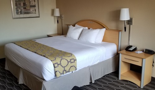 Room, 1 King Bed