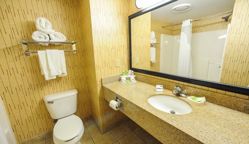 Suite, 1 Bedroom