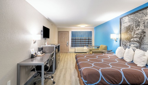 Room, 1 King Bed, Accessible, Non Smoking (Mobility,Hearing,Roll-In Shower)
