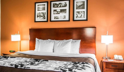 Suite, 1 King Bed, Accessible, Non Smoking