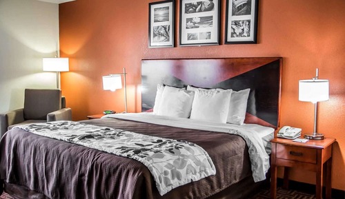 Standard Room, 1 King Bed, Non Smoking