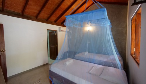 Comfort Double or Twin Room, 2 Twin Beds, Pool View
