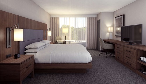 Room, 1 King Bed, Accessible (Hearing, Transfer Shower)