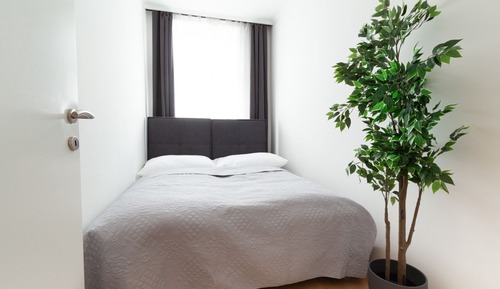 Grand Apartment, 3 Bedrooms, Kitchen
