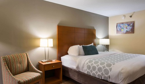 Standard Room, 1 King Bed, Non Smoking