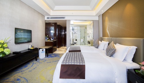 Business Twin Room