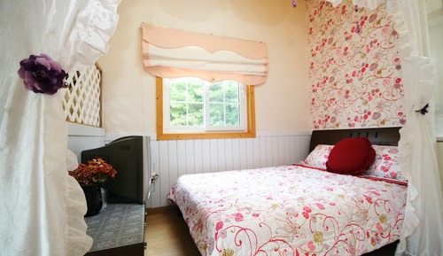 Double Room (Procyon)