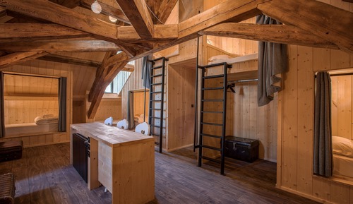 Family Room, Multiple Beds (Tribu)